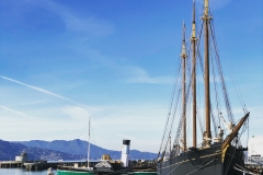 18 Terrence Narinesingh at Photography at Hyde Street Pier San Francisco California
