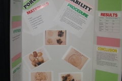 118 Science Fair Day