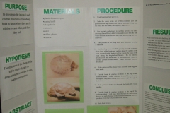 119 Science Fair Day