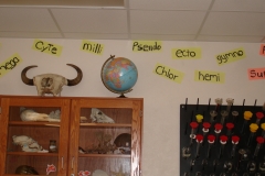 123 Word Wall at John I. Leonard High School