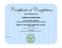 Certificate of Completion of Webinar Mastery Connects – Dr Terrence Narinesingh